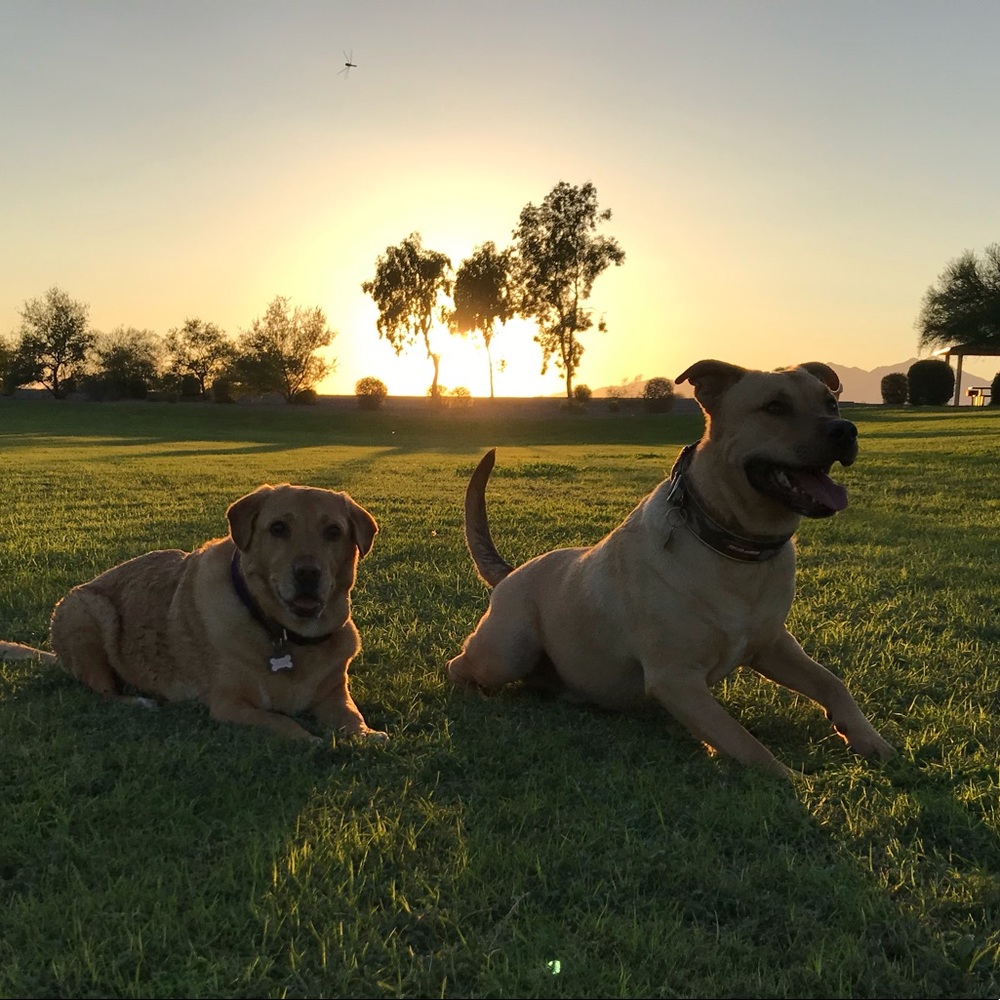 Meet your Posher, Michelle